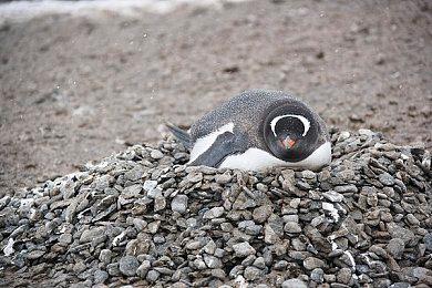 E3 2021：多次跳票后 《枪墓G.O.R.E》上市日期确定